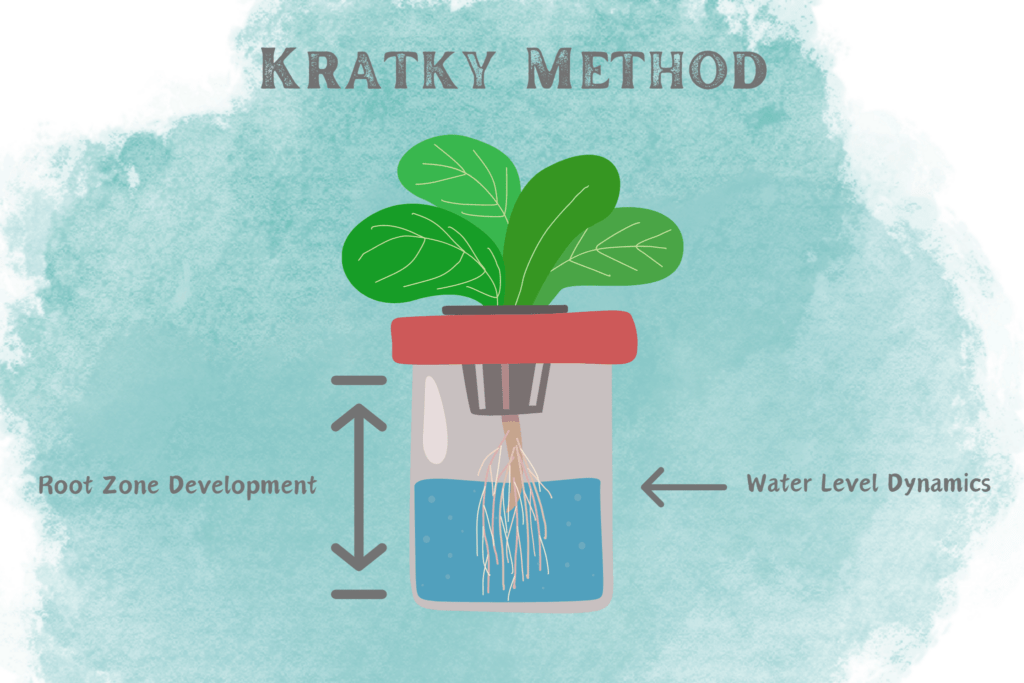 How To Grow Cherry Tomatoes Kratky Style Kratky Method Hydroponic Infographic