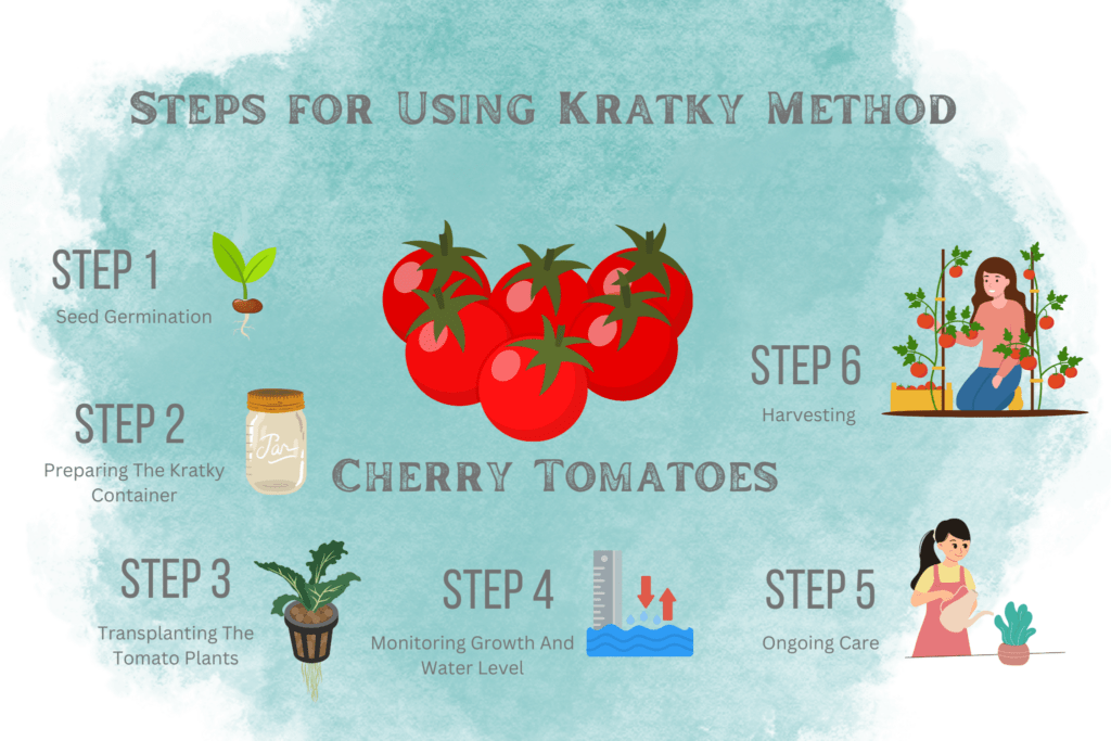 How To Grow Cherry Tomatoes Kratky Style Kratky Method Hydroponic infographic2 2