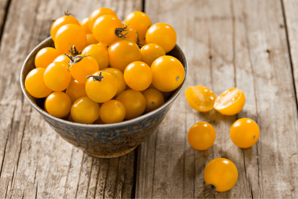 Best Cherry Tomatoes for Hydroponics Sungold Cherry Tomatoes