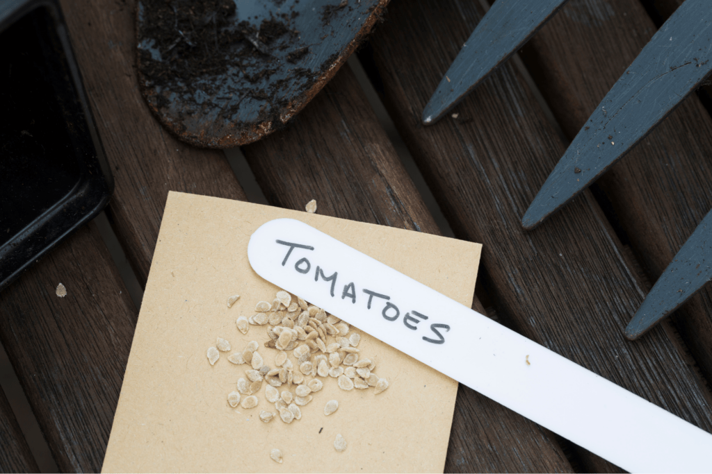 Best Hydroponics for Tomatoes: Ultimate Guide for Lush Growth tomatoes seeds