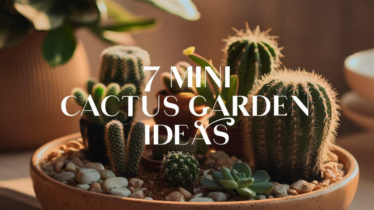 7 Mini Cactus Garden Ideas a well lit close up shot of a mini cactus garden