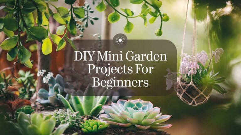 diy mini garden projects for beginners landscape