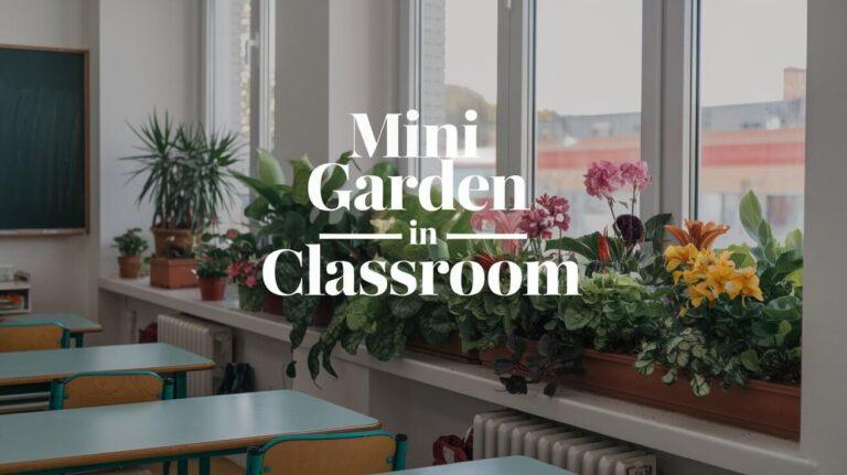 mini garden in classroom