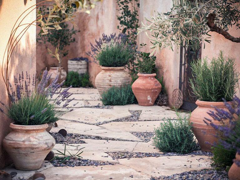 Mediterranean Garden Design Ideas for a Stunning Landscape Sunlit garden path with terracotta pots filled with lavender and greenery, surrounded by rustic stucco walls and Mediterranean ambiance.