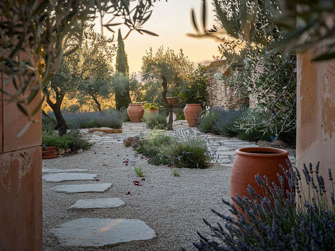 How to Create a Tuscan Inspired Italian Garden A serene garden scene with olive trees, stone pathway, and terracotta pots, framed by rustic walls and purple lavender under a warm sky.
